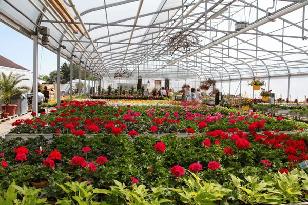 unsere Grtnerei  Pflanzen, Blumen & Geschenke online kaufen
