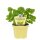 Bio Zitronenmelisse (Melissa officinalis), im 12cm Topf