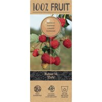 Herbst Himbeere, (Rubus idaeus), Sorte: Zefa, ca. 65cm hoch, im 14cm Topf