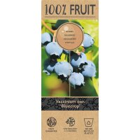 Heidelbeere, (Vaccinium corymbosum), Sorte: Bluecrop, ca. 55cm hoch, im 14cm Topf