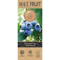 Heidelbeere, (Vaccinium corymbosum), Sorte: Northland, ca. 55cm hoch, im 14cm Topf