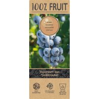 Heidelbeere, (Vaccinium corymbosum), Sorte: Goldtraube, ca. 55cm hoch, im 14cm Topf