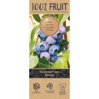 Heidelbeere, (Vaccinium corymbosum), Sorte: Jersey, ca. 55cm hoch, im 14cm Topf