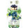 2er Set winterharte Heidelbeere (Blaubeeren) Pflanze, Sorte: Northland, ca. 55cm hoch, im 14cm Topf