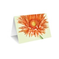 Grußkarte „Orange Gerbera"