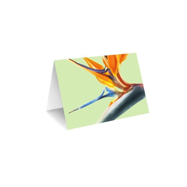 Grußkarte „Orange Strelitzie"