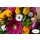 Floristenstrauß in der Farbe: bunt