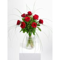 Langstielige rote Rosen, mit gr&uuml;n aufgebunden