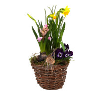 Fr&uuml;hlingskorb rund, mit farbenfroher Fr&uuml;hlingsbepflanzung Gr&ouml;&szlig;e S, ca. 15cm im Durchmesser