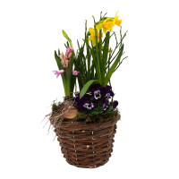 Fr&uuml;hlingskorb rund, mit farbenfroher Fr&uuml;hlingsbepflanzung Gr&ouml;&szlig;e S, ca. 15cm im Durchmesser