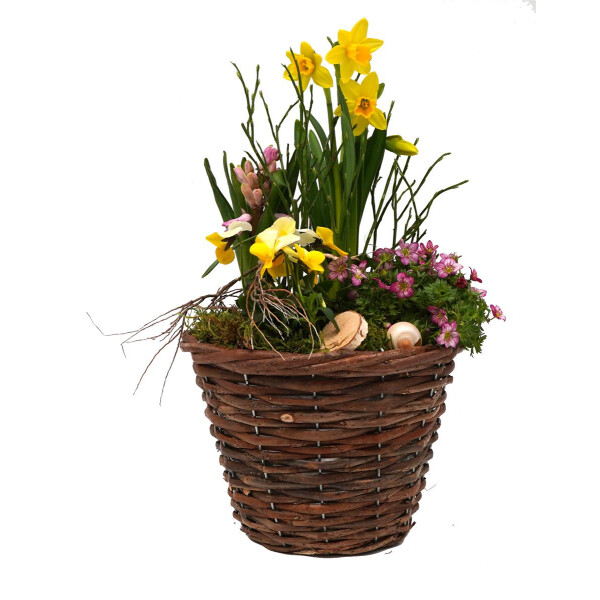 Frühlingskorb rund, mit farbenfroher Frühlingsbepflanzung Größe M, ca. 18cm im Durchmesser