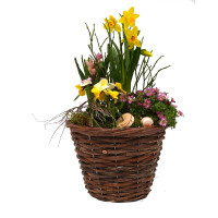 Fr&uuml;hlingskorb rund, mit farbenfroher Fr&uuml;hlingsbepflanzung Gr&ouml;&szlig;e M, ca. 18cm im Durchmesser