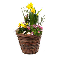 Fr&uuml;hlingskorb rund, mit farbenfroher Fr&uuml;hlingsbepflanzung Gr&ouml;&szlig;e M, ca. 18cm im Durchmesser