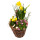 Frühlingskorb rund, mit farbenfroher Frühlingsbepflanzung Größe M, ca. 18cm im Durchmesser