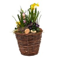 Fr&uuml;hlingskorb rund, mit farbenfroher Fr&uuml;hlingsbepflanzung Gr&ouml;&szlig;e L, ca. 22cm im Durchmesser