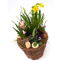Fr&uuml;hlingskorb rund, mit farbenfroher Fr&uuml;hlingsbepflanzung Gr&ouml;&szlig;e L, ca. 22cm im Durchmesser