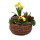 Frühlingskorb rund flach, mit farbenfroher Frühlingsbepflanzung Größe S, ca. 22cm im Durchmesser