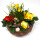 Frühlingskorb rund flach, mit farbenfroher Frühlingsbepflanzung Größe M, ca. 26cm im Durchmesser