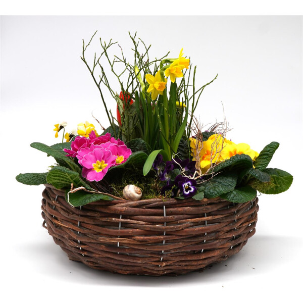 Frühlingskorb rund flach, mit farbenfroher Frühlingsbepflanzung Größe L, ca. 33cm im Durchmesser