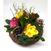 Fr&uuml;hlingskorb rund flach, mit farbenfroher Fr&uuml;hlingsbepflanzung Gr&ouml;&szlig;e L, ca. 33cm im Durchmesser