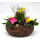 Frühlingskorb rund flach, mit farbenfroher Frühlingsbepflanzung Größe L, ca. 33cm im Durchmesser