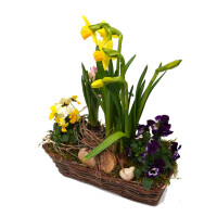 Fr&uuml;hlingskorb rechteckig, mit farbenfroher Fr&uuml;hlingsbepflanzung Gr&ouml;&szlig;e S, ca. 25 x 10cm
