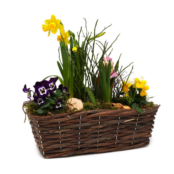 Frühlingskorb rechteckig, mit farbenfroher Frühlingsbepflanzung Größe M, ca. 29 x 13cm