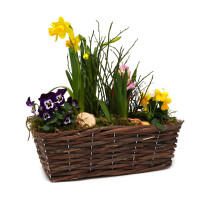 Fr&uuml;hlingskorb rechteckig, mit farbenfroher Fr&uuml;hlingsbepflanzung Gr&ouml;&szlig;e M, ca. 29 x 13cm
