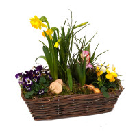 Fr&uuml;hlingskorb rechteckig, mit farbenfroher Fr&uuml;hlingsbepflanzung Gr&ouml;&szlig;e M, ca. 29 x 13cm