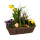 Frühlingskorb rechteckig, mit farbenfroher Frühlingsbepflanzung Größe M, ca. 29 x 13cm