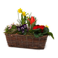 Fr&uuml;hlingskorb rechteckig, mit farbenfroher Fr&uuml;hlingsbepflanzung Gr&ouml;&szlig;e L, ca. 33 x 18cm