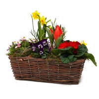 Fr&uuml;hlingskorb rechteckig, mit farbenfroher Fr&uuml;hlingsbepflanzung Gr&ouml;&szlig;e L, ca. 33 x 18cm