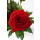 Langstielige rote Rosen, mit grün aufgebunden Größe M