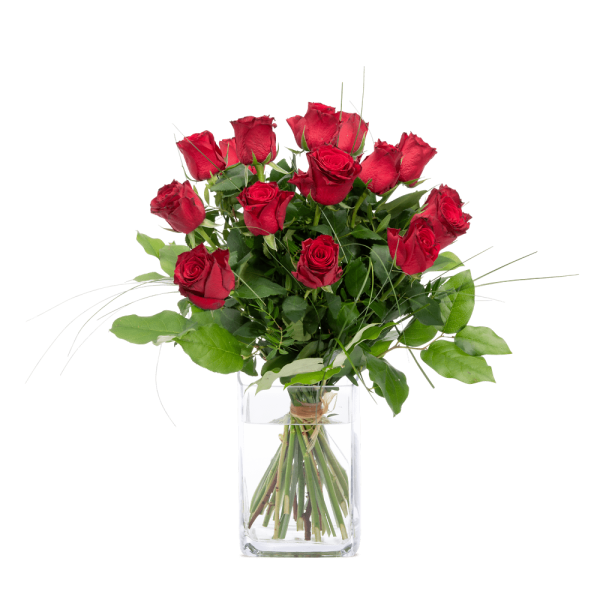 Langstielige rote Rosen, mit grün aufgebunden Größe L