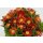 Eisblume, (Delosperma), Sorte: Wheels of Wonder Orange Wonder, im 12cm Topf