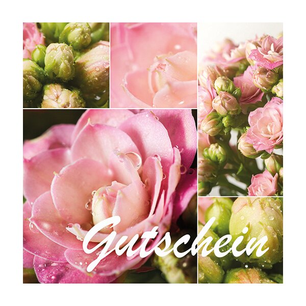 Gutschein Gärtnerei Müller (Motivkarte: Käthchen) 40 Euro