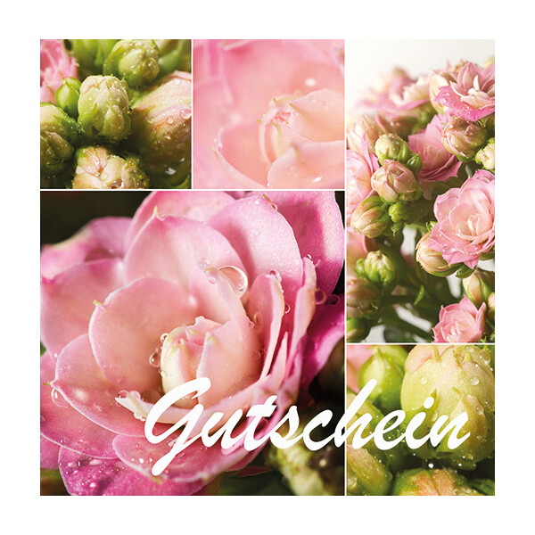 Gutschein Gärtnerei Müller (Motivkarte: Käthchen) 50 Euro