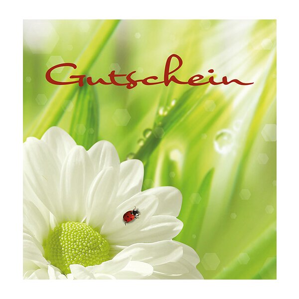 Gutschein Gärtnerei Müller (Motivkarte: weisse Blüte mit Käfer) 80 Euro
