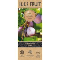 Zwerg Pflaume, (Prunus domestica), Sorte: Opal, im 23cm...