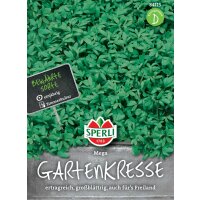 Gartenkresse Mega