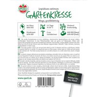 Gartenkresse Mega