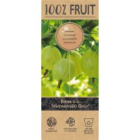 Gr&uuml;ne Stachelbeere, (Ribes uva-crispa), Sorte: Hinnonm&auml;ki Gr&uuml;n, ca. 65cm hoch, im 14cm Topf