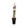 Rote Stachelbeere, (Ribes uva-crispa), Sorte: Hinnonmäki Rot, ca. 65cm hoch, im 14cm Topf