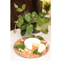 Bio K&auml;sekraut, (Paederia lanuginosa), im 12cm Topf