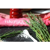 Bio Salzkraut, (Salicornia europaea), im 12cm Topf