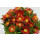 Eisblume, (Delosperma), Sorte: Wheels of Wonder Hot Orange