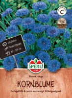 Kornblume Blauer Junge