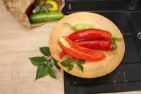 Bio-Spitzpaprika, (Capsicum annuum), Sorte: Conored, im 12cm Topf