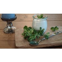 Bio Minze Rokoko (Mentha suaveolens calixte) im 12cm Topf