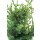 Grill-Wacholder, (Juniperus communis ’Meyer‘),  im 11cm Topf